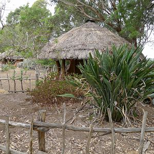 African Hut/Picnic shelter