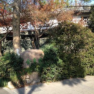 Chinese golden fishes exhibit