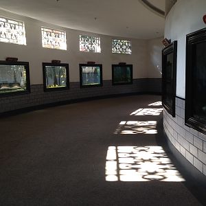 Chinese golden fishes exhibit