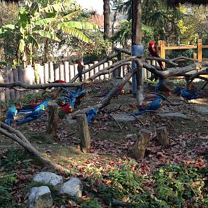 Macaw exhibit
