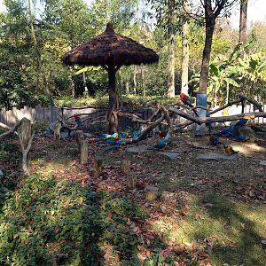Macaw exhibit