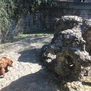 Another brown bear closure