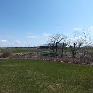 Discovery Wildlife Park,view from parking lot