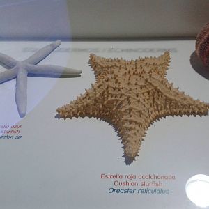 Another educational display