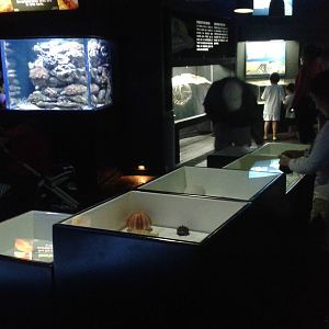 View in the aquarium room