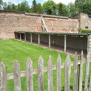 View of mews for display birds