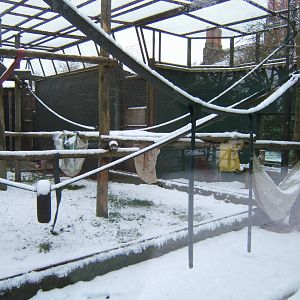 A snowy view inside the Green mile