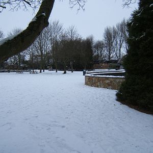 A snowy view