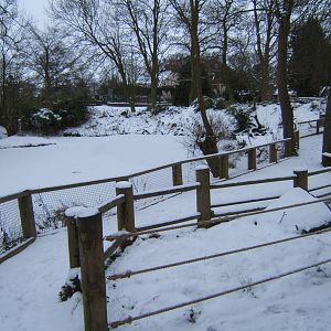 Snow covered Flamingo pool
