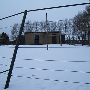 Giraffe House in the snow
