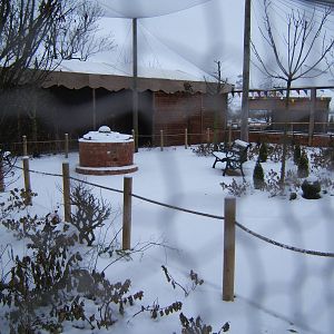 Walk through Bird Aviary in snow in Pets at Twycross