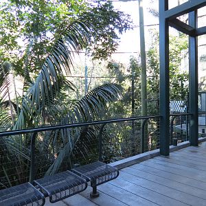 Lost Forest - Owens Aviary