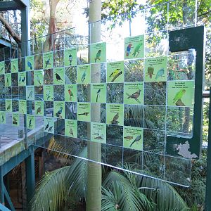 Lost Forest - Owens Aviary