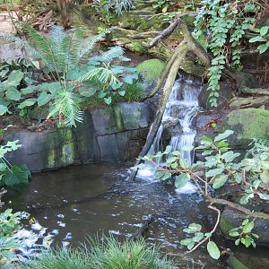 Lost Forest - Owens Aviary