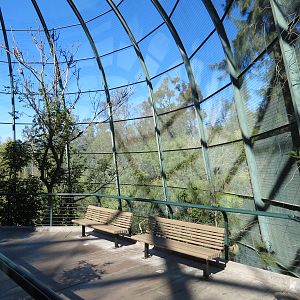 Lost Forest - Owens Aviary