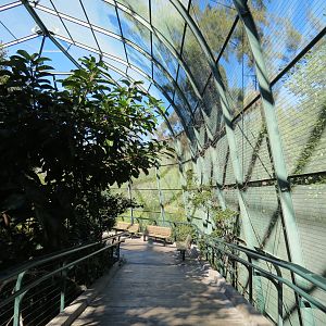 Lost Forest - Owens Aviary