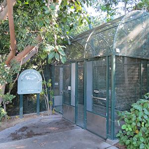 Lost Forest - Owens Aviary