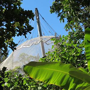 Lost Forest - Parker Aviary