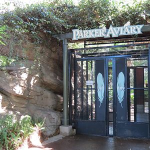 Lost Forest - Parker Aviary