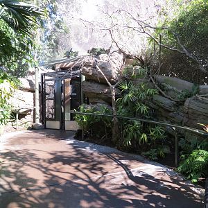 Lost Forest - Parker Aviary