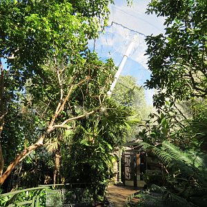 Lost Forest - Parker Aviary