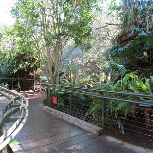 Lost Forest - Parker Aviary