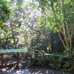 Lost Forest - Parker Aviary