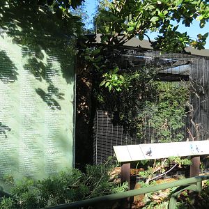 Lost Forest - Birds of Australasia - Grosbeak Starling and Others Exhibit