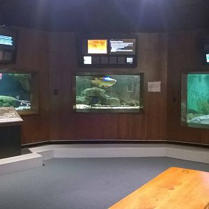 Freshwater Exhibits
