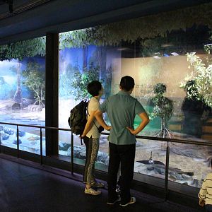 Bay of Bengal and Laccadive Sea - Sundarbans Mangrove