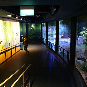 Bay of Bengal and Laccadive Sea