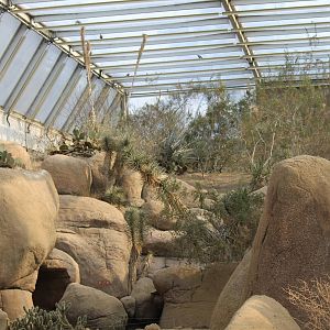 Landscape, Burgers' Desert