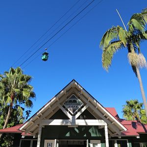 Lost Forest - Treetops Complex