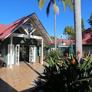 Lost Forest - Treetops Complex