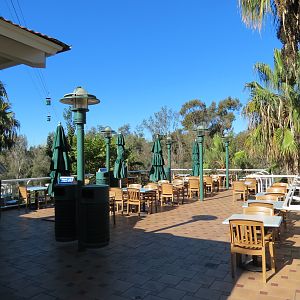 Lost Forest - Treetops Complex