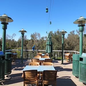 Lost Forest - Treetops Complex