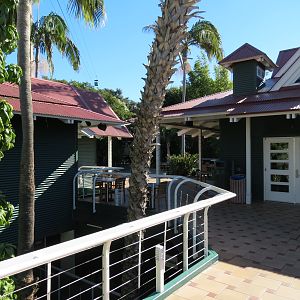 Lost Forest - Treetops Complex