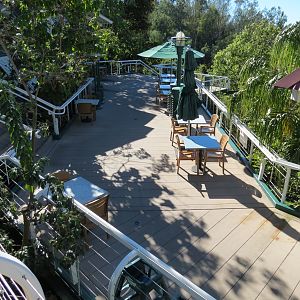 Lost Forest - Treetops Complex