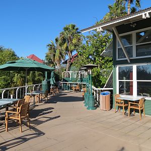 Lost Forest - Treetops Complex