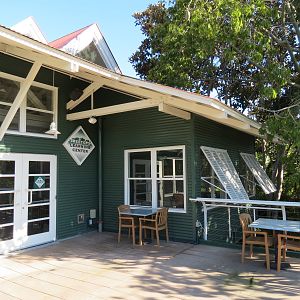 Lost Forest - Treetops Complex