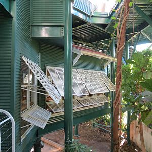 Lost Forest - Treetops Complex