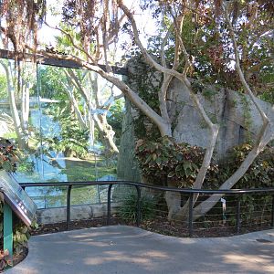 Lost Forest - Gorilla Tropics - Western Lowland Gorilla Exhibit