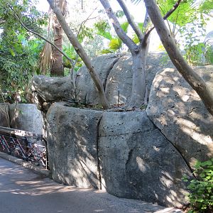 Lost Forest - Gorilla Tropics - Western Lowland Gorilla Exhibit