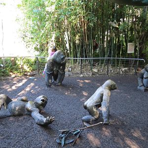 Lost Forest - Gorilla Tropics - Western Lowland Gorilla Exhibit