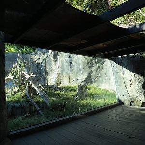 Lost Forest - Gorilla Tropics - Bonobo Exhibit
