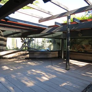 Lost Forest - Gorilla Tropics - Bonobo Exhibit