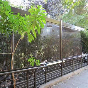 Lost Forest - Gorilla Tropics - 2 Bird Exhibits