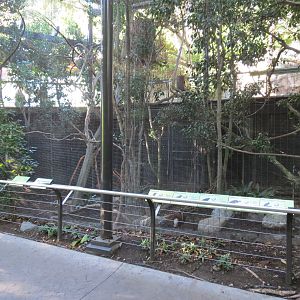 Lost Forest - Gorilla Tropics - 2 Bird Exhibits