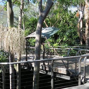 Lost Forest - Gorilla Tropics - Scripps Aviary