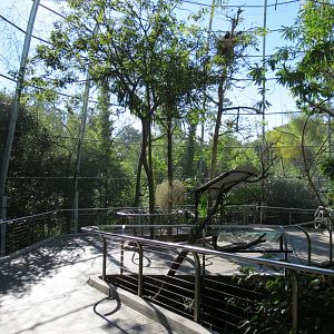 Lost Forest - Gorilla Tropics - Scripps Aviary